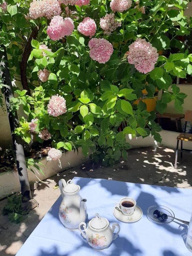Vrenjo Guesthouse Gjirokastra Kültér fotó